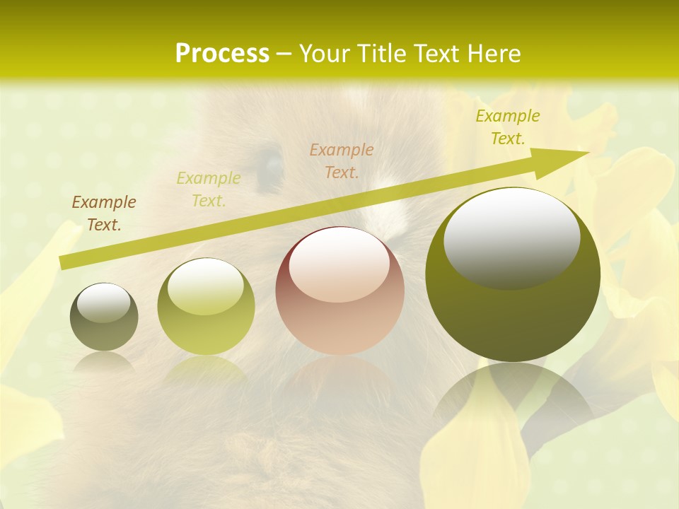 Blumen Portrait Fest PowerPoint Template