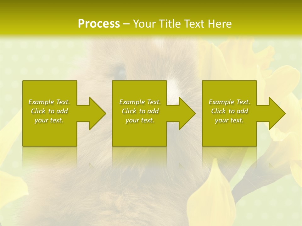 Blumen Portrait Fest PowerPoint Template