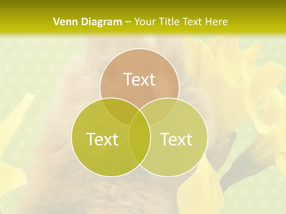 Blumen Portrait Fest PowerPoint Template