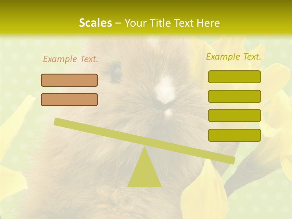 Blumen Portrait Fest PowerPoint Template