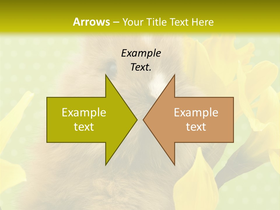 Blumen Portrait Fest PowerPoint Template