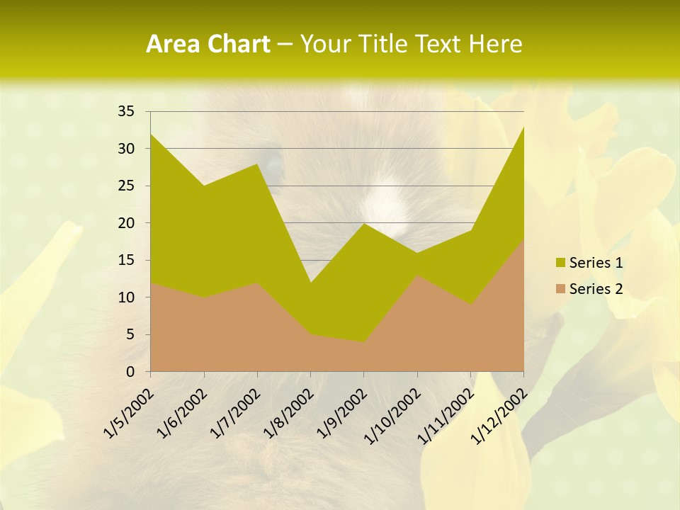 Blumen Portrait Fest PowerPoint Template