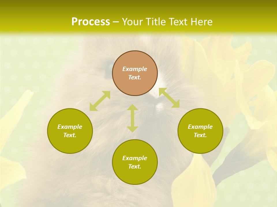 Blumen Portrait Fest PowerPoint Template