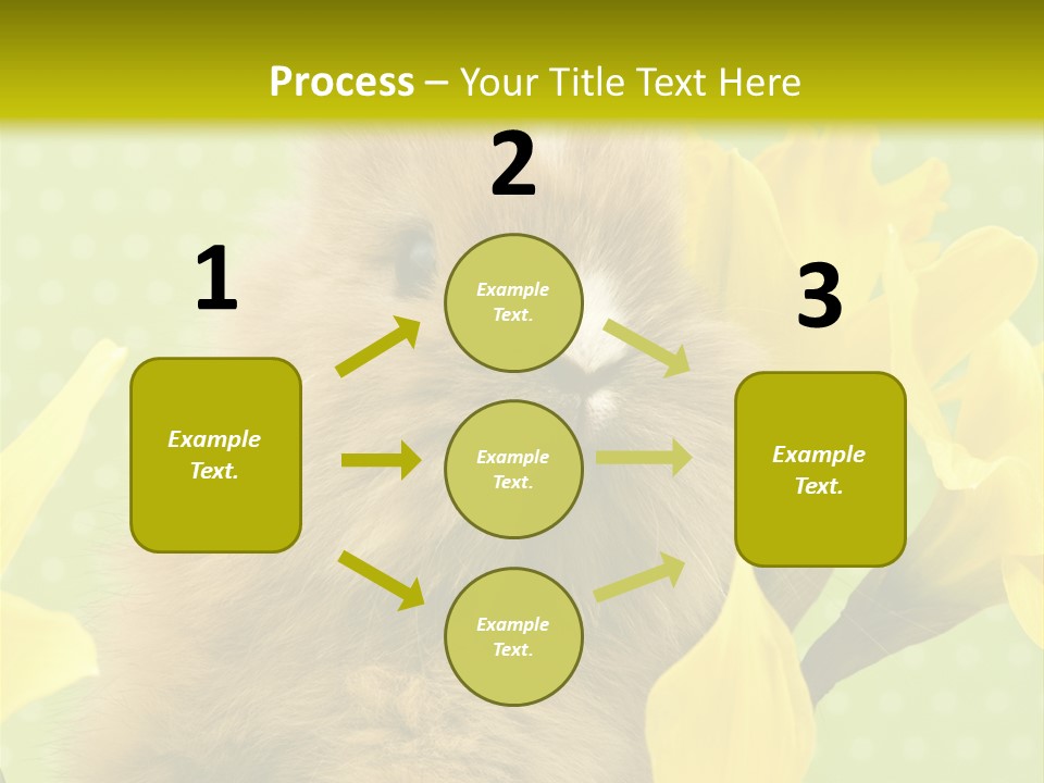 Blumen Portrait Fest PowerPoint Template