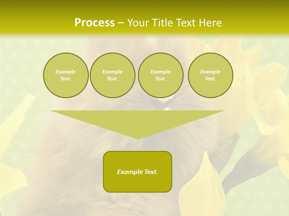 Blumen Portrait Fest PowerPoint Template