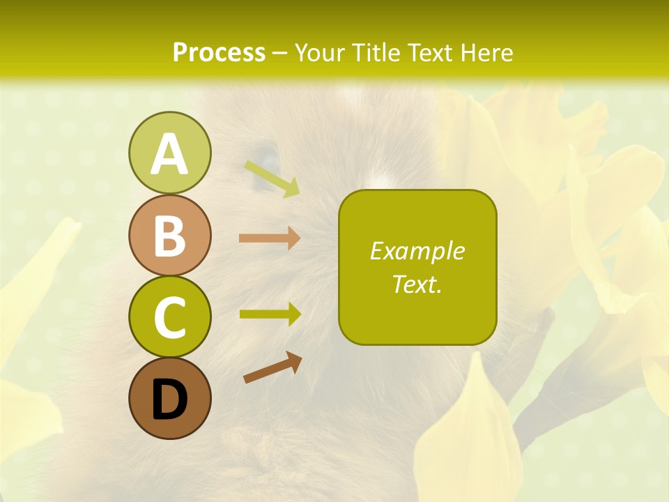 Blumen Portrait Fest PowerPoint Template