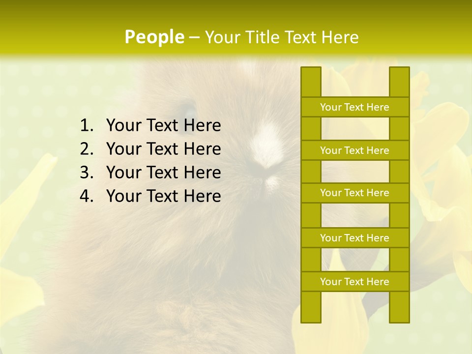 Blumen Portrait Fest PowerPoint Template