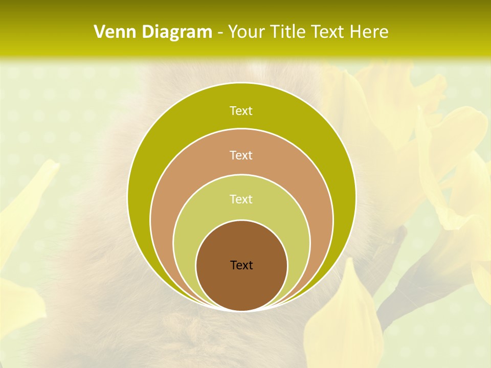 Blumen Portrait Fest PowerPoint Template