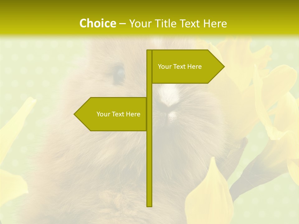 Blumen Portrait Fest PowerPoint Template