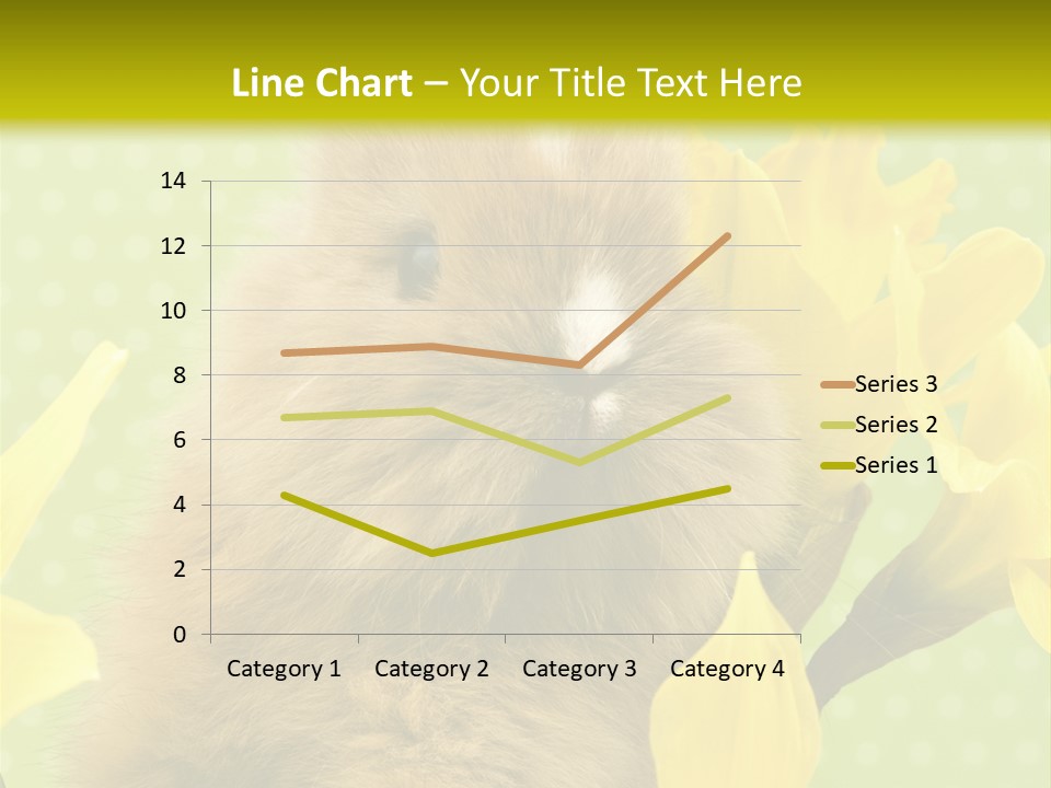 Blumen Portrait Fest PowerPoint Template