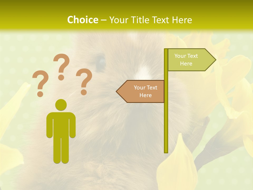 Blumen Portrait Fest PowerPoint Template