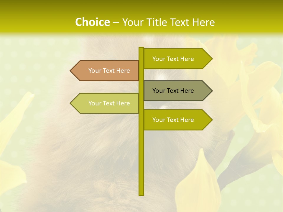 Blumen Portrait Fest PowerPoint Template