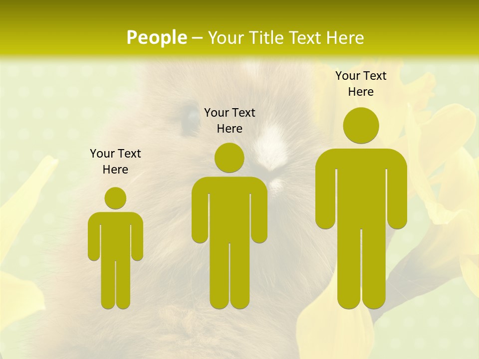 Blumen Portrait Fest PowerPoint Template