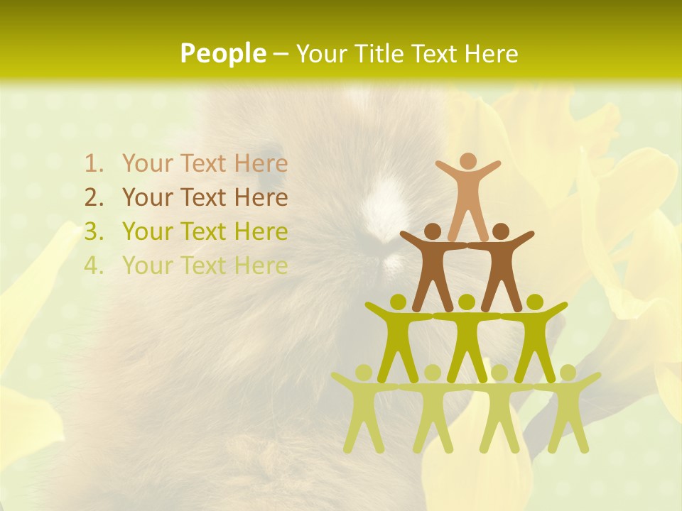 Blumen Portrait Fest PowerPoint Template