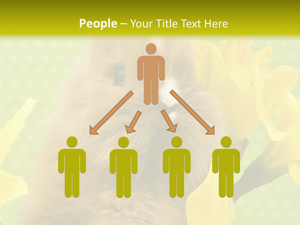 Blumen Portrait Fest PowerPoint Template