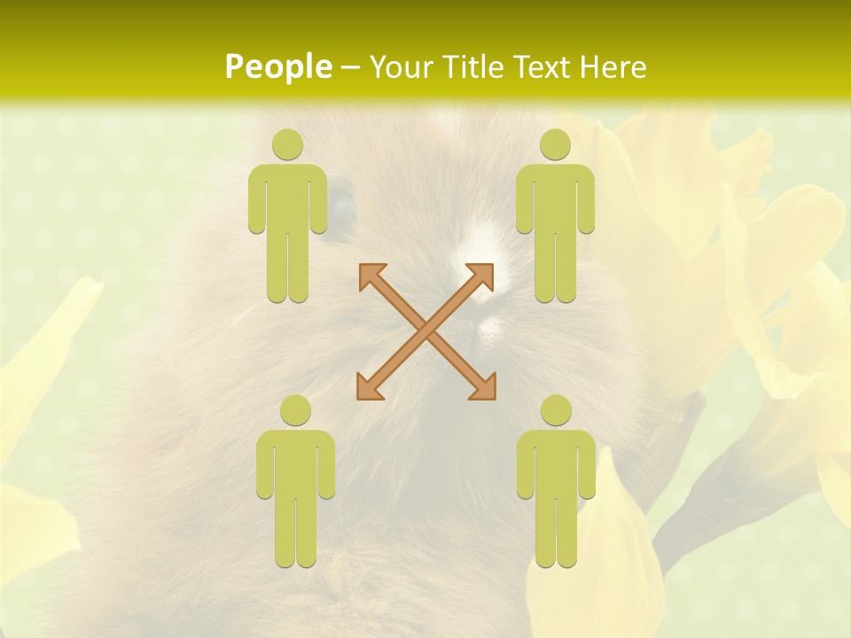 Blumen Portrait Fest PowerPoint Template