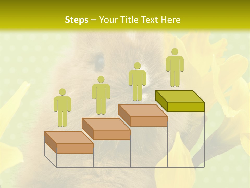 Blumen Portrait Fest PowerPoint Template