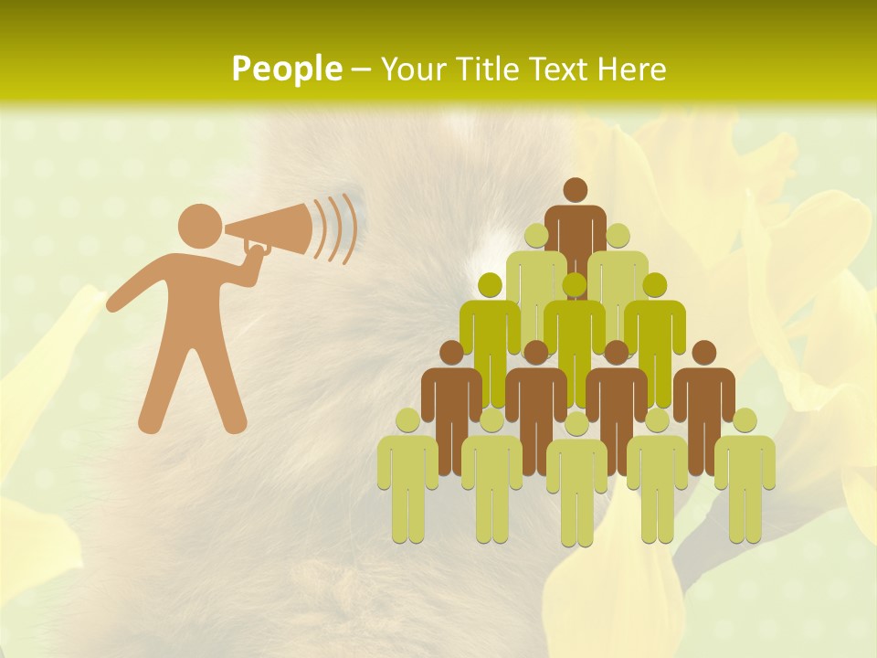 Blumen Portrait Fest PowerPoint Template