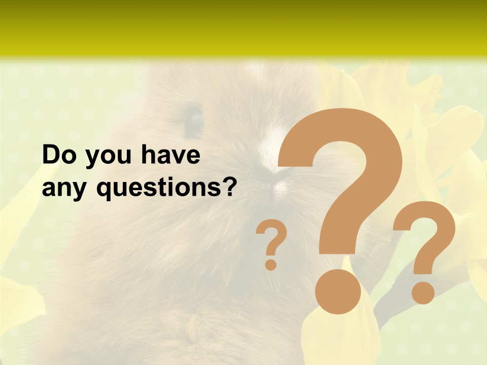 Blumen Portrait Fest PowerPoint Template