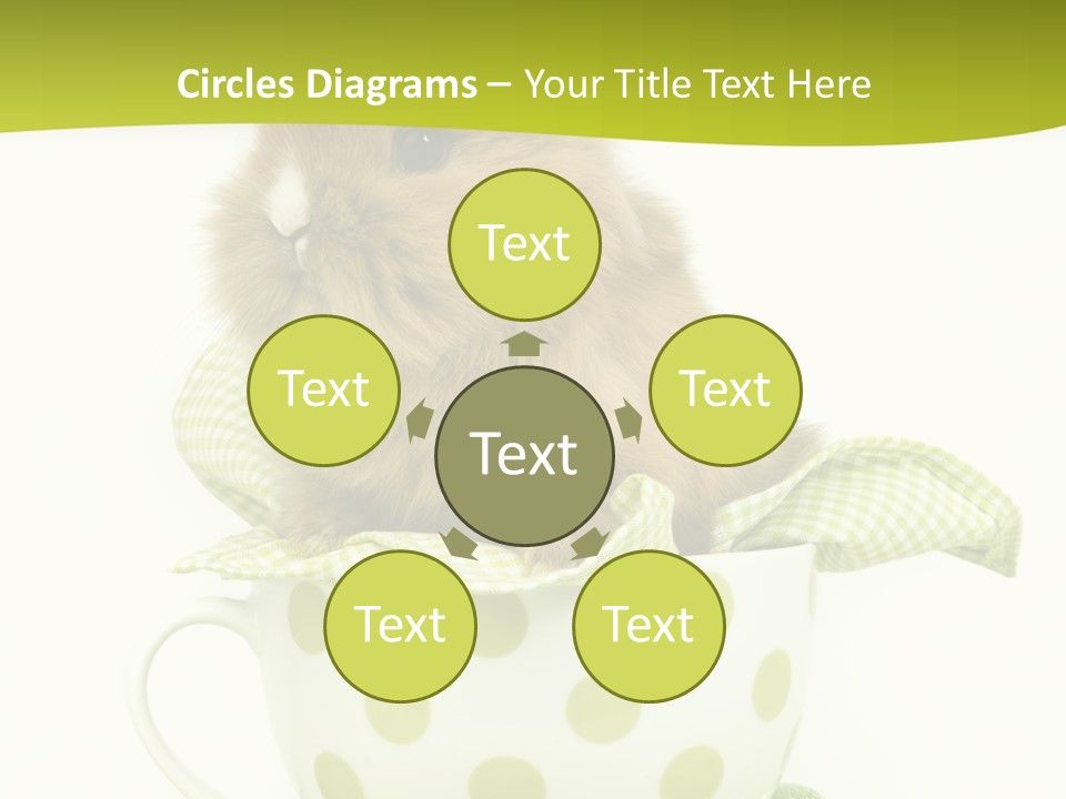 Portrait Ostern Haustier PowerPoint Template