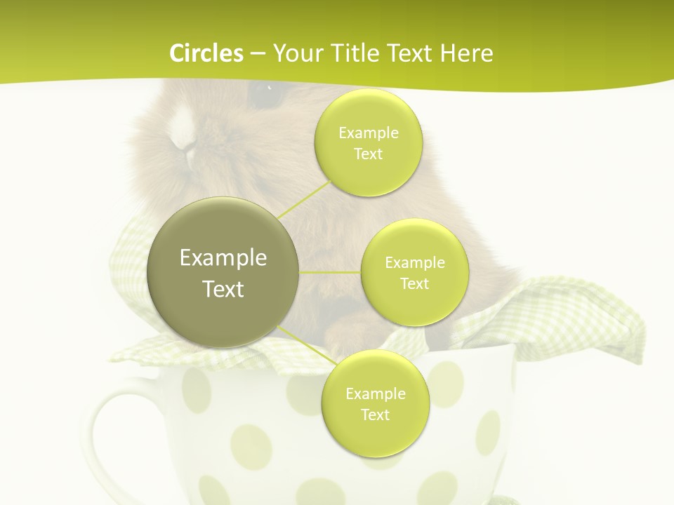 Portrait Ostern Haustier PowerPoint Template