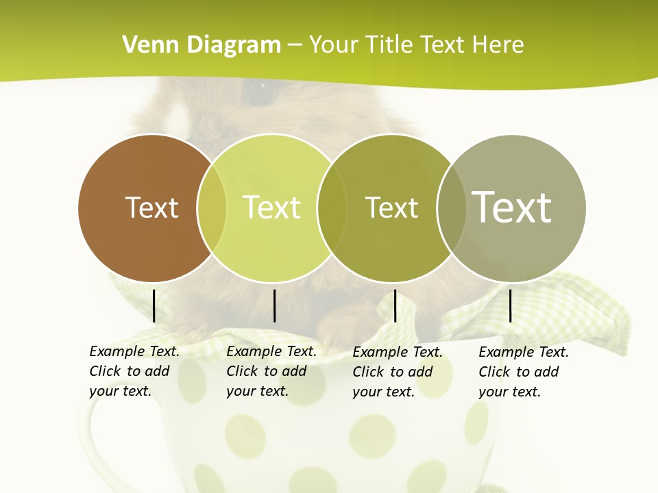Portrait Ostern Haustier PowerPoint Template
