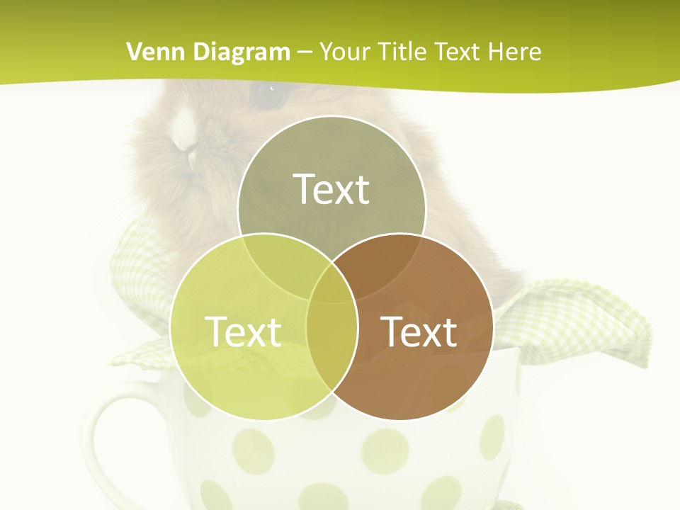 Portrait Ostern Haustier PowerPoint Template