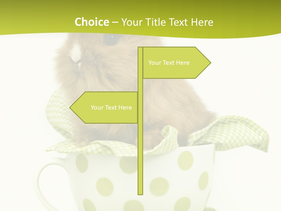 Portrait Ostern Haustier PowerPoint Template