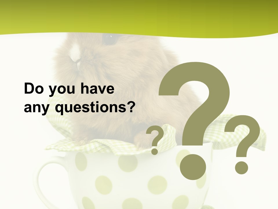 Portrait Ostern Haustier PowerPoint Template