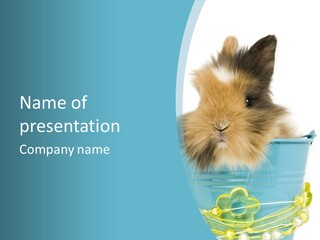 Flauschig Nagetier Ohren PowerPoint Template