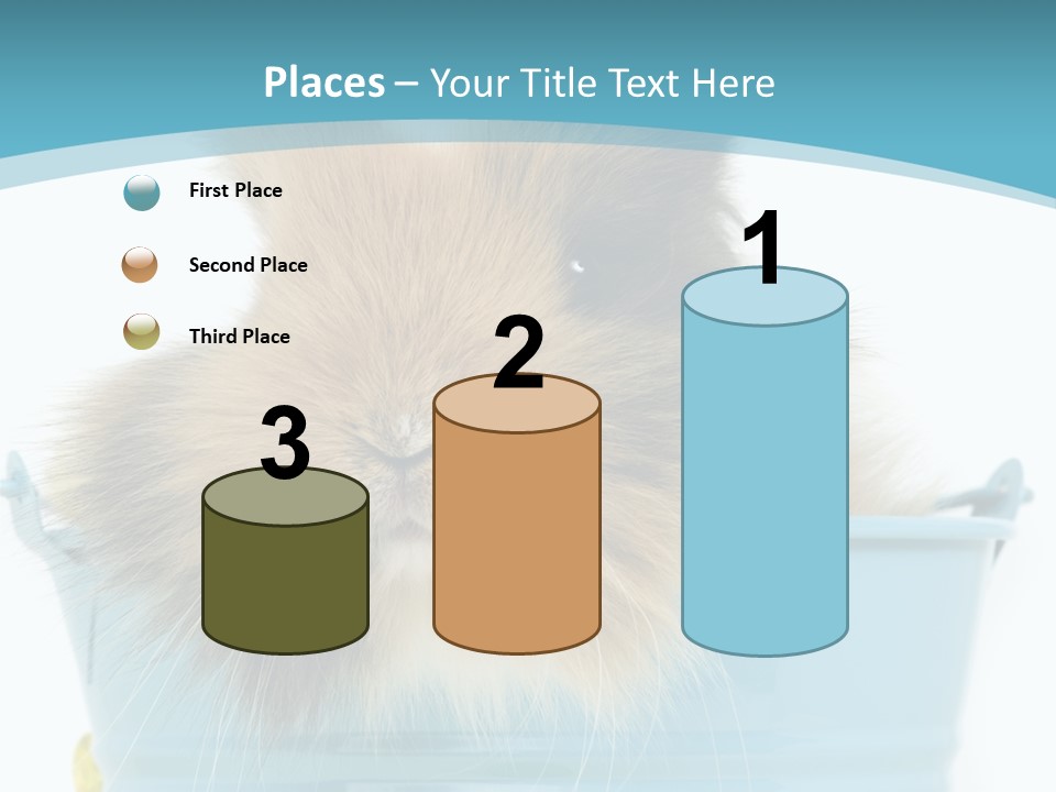 Flauschig Nagetier Ohren PowerPoint Template