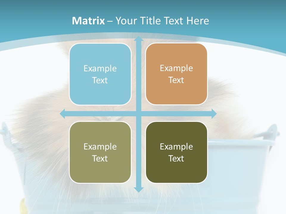 Flauschig Nagetier Ohren PowerPoint Template