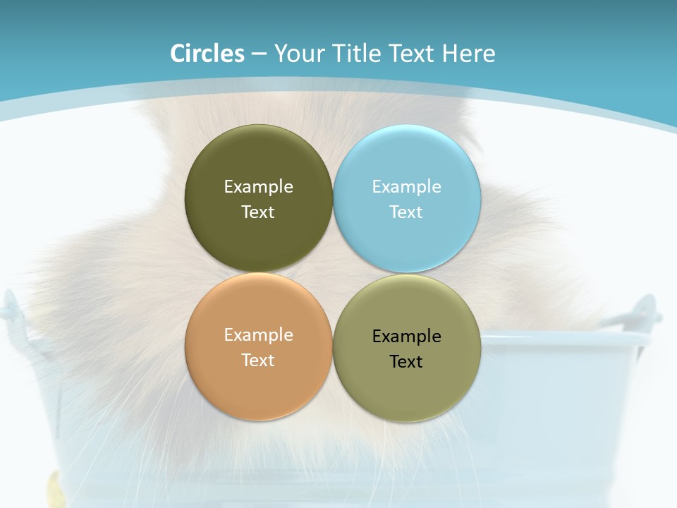 Flauschig Nagetier Ohren PowerPoint Template