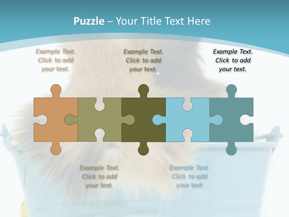 Flauschig Nagetier Ohren PowerPoint Template