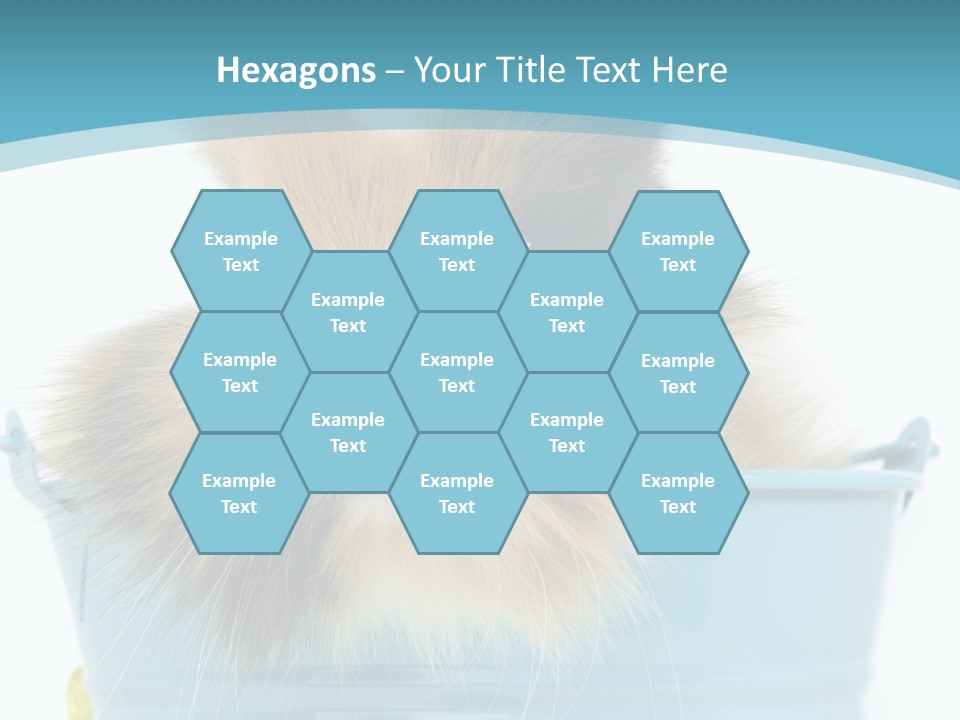 Flauschig Nagetier Ohren PowerPoint Template