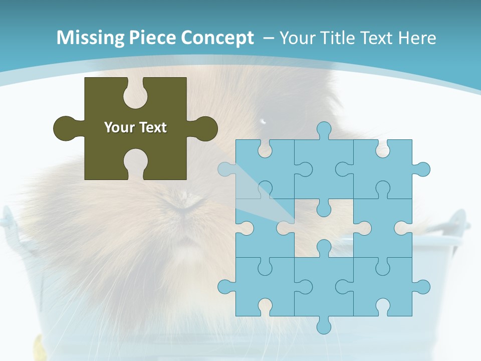 Flauschig Nagetier Ohren PowerPoint Template