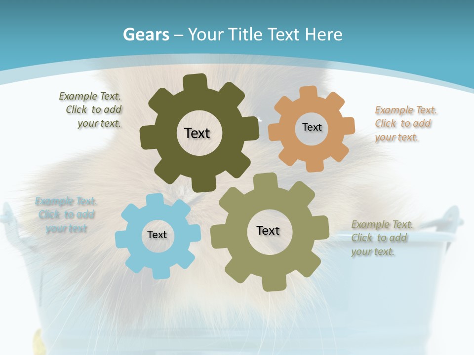 Flauschig Nagetier Ohren PowerPoint Template