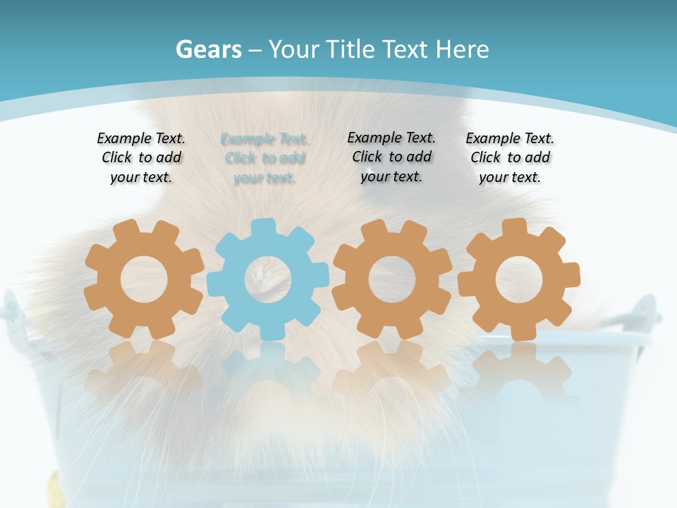 Flauschig Nagetier Ohren PowerPoint Template