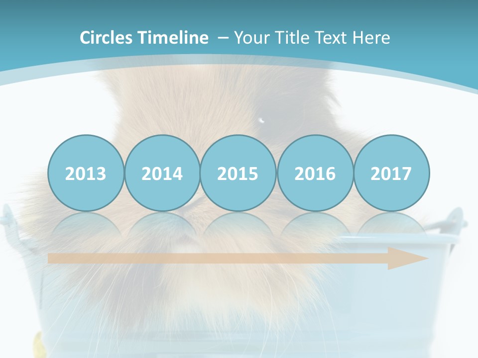 Flauschig Nagetier Ohren PowerPoint Template