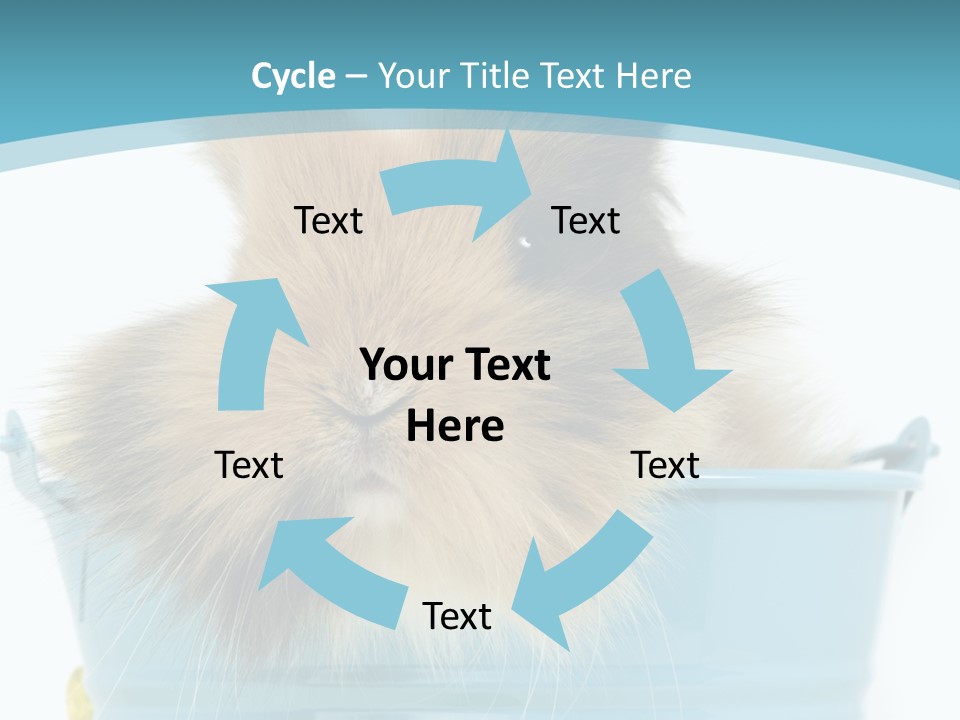 Flauschig Nagetier Ohren PowerPoint Template