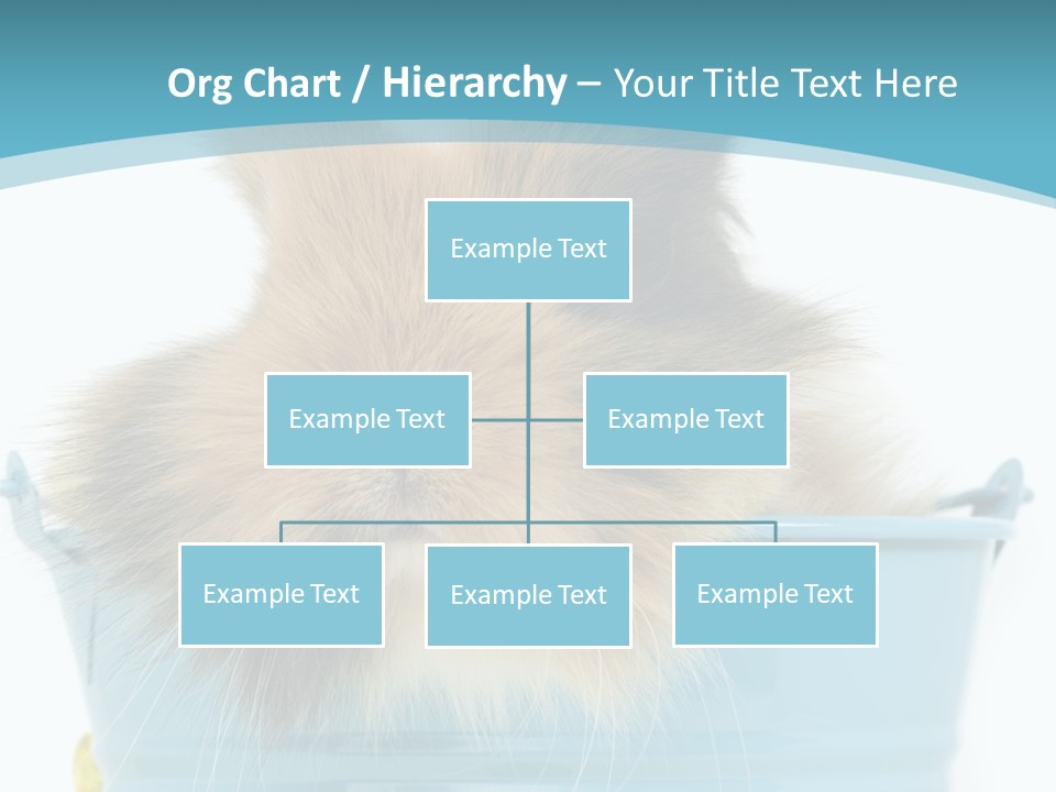 Flauschig Nagetier Ohren PowerPoint Template