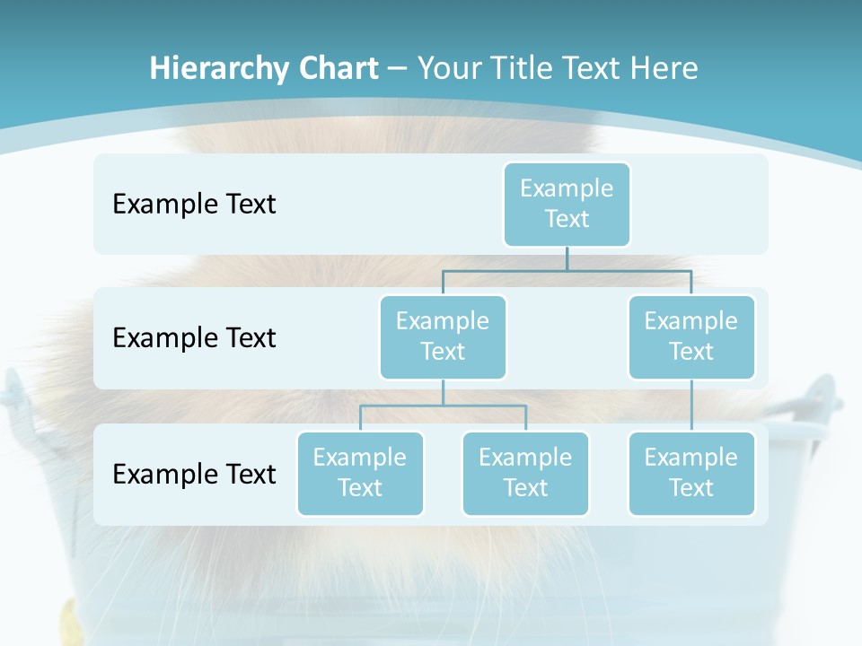 Flauschig Nagetier Ohren PowerPoint Template