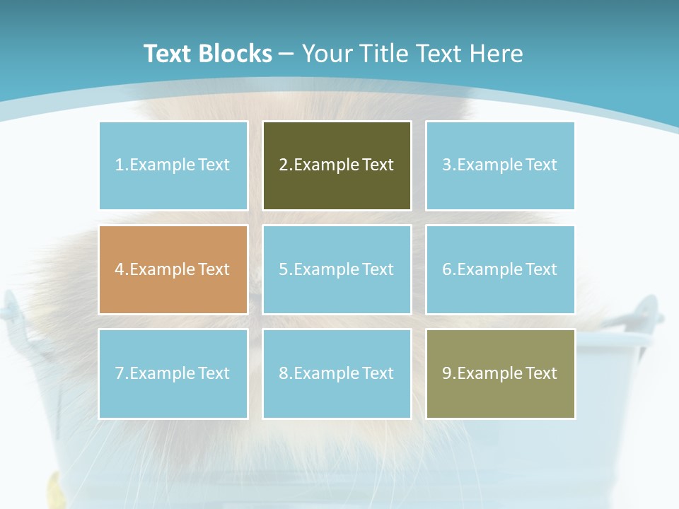 Flauschig Nagetier Ohren PowerPoint Template