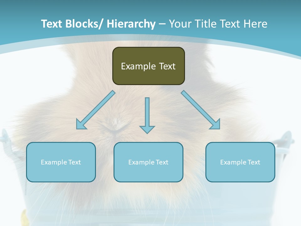 Flauschig Nagetier Ohren PowerPoint Template