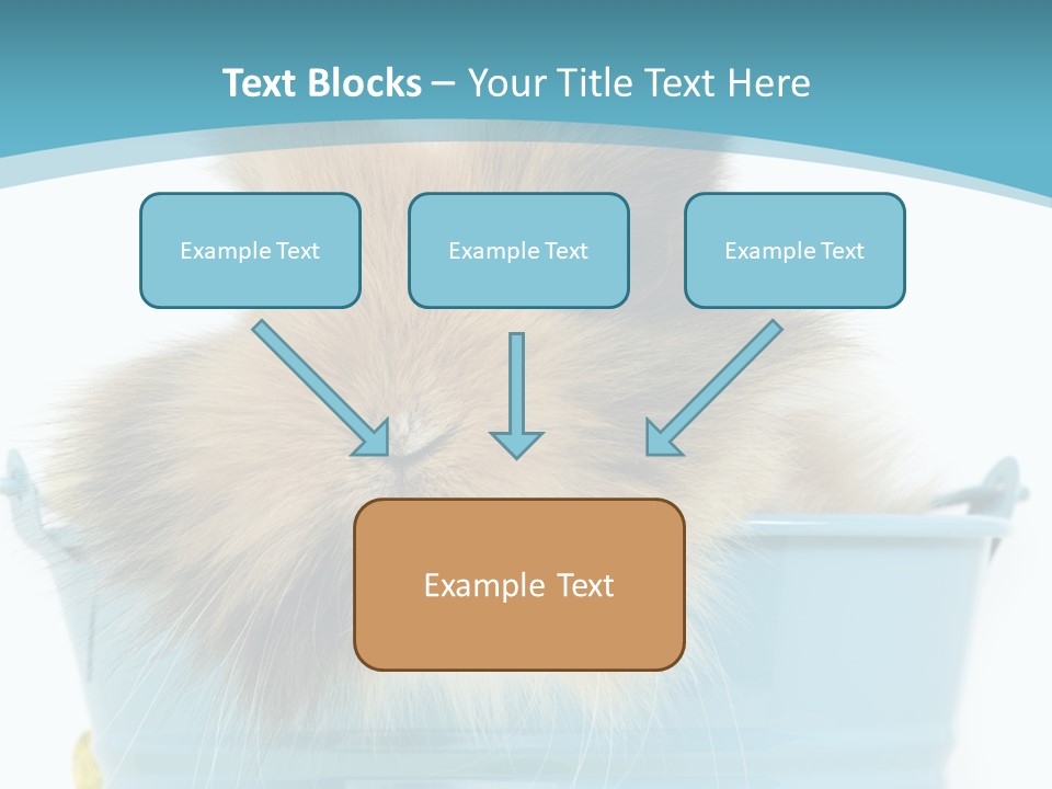 Flauschig Nagetier Ohren PowerPoint Template