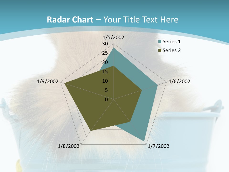 Flauschig Nagetier Ohren PowerPoint Template