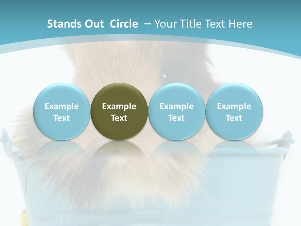 Flauschig Nagetier Ohren PowerPoint Template