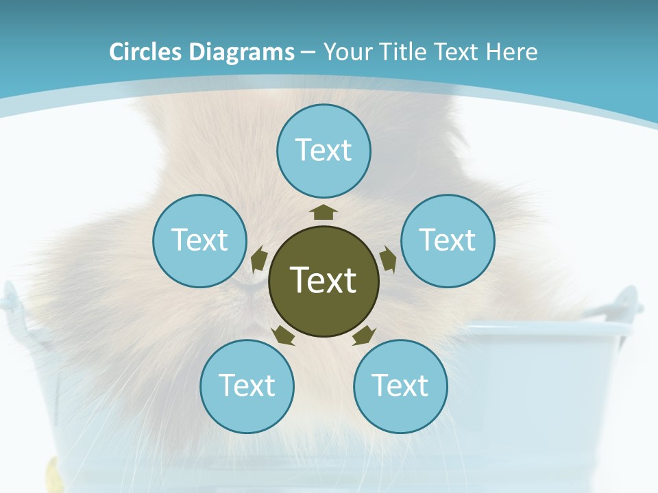 Flauschig Nagetier Ohren PowerPoint Template