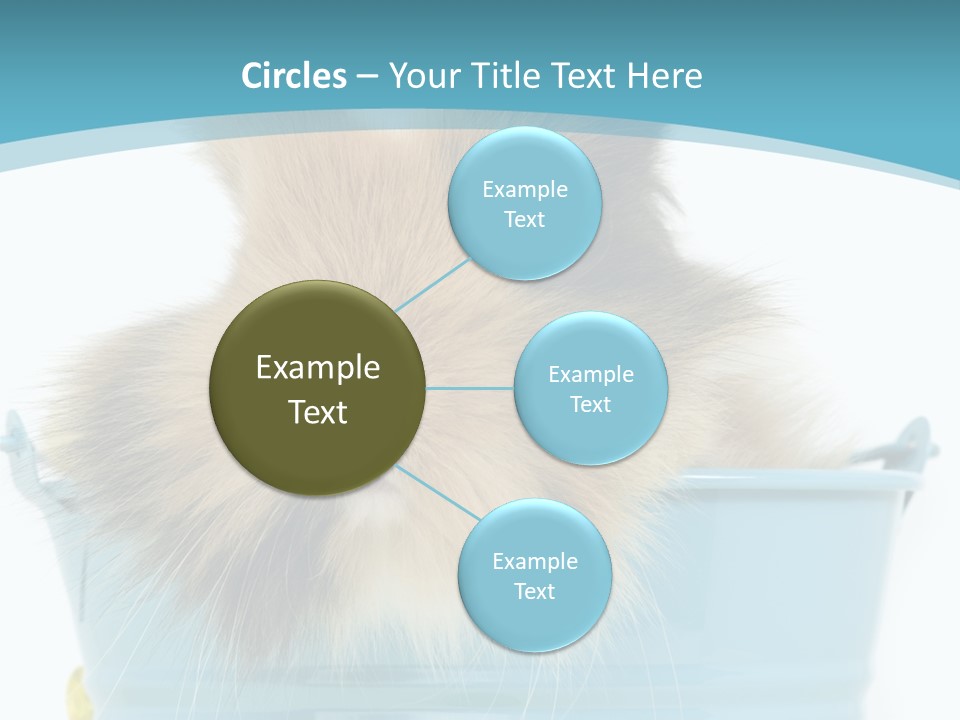 Flauschig Nagetier Ohren PowerPoint Template