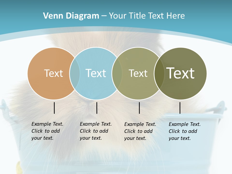 Flauschig Nagetier Ohren PowerPoint Template